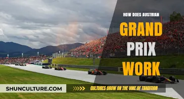 Understanding the Austrian GP: Rules, Format, and Race Dynamics