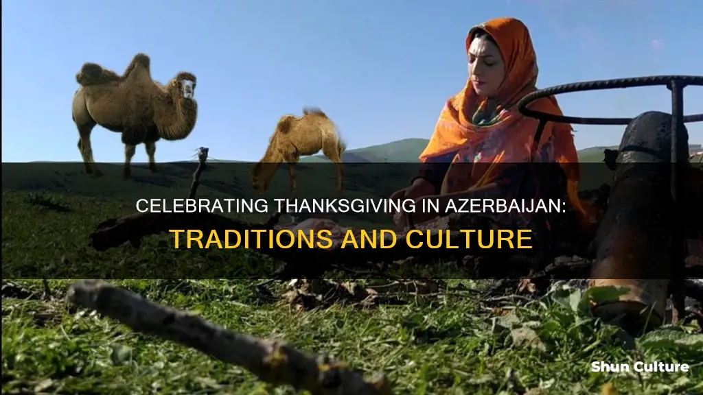 how does azerbaijan celebrate thanksgiving