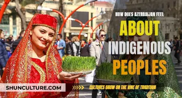 Exploring Azerbaijan's Perspective on Indigenous Peoples