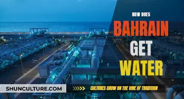 Bahrain's Water Sources: A Desert Nation's Supply