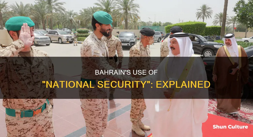 how does bahrain use of dime of national security