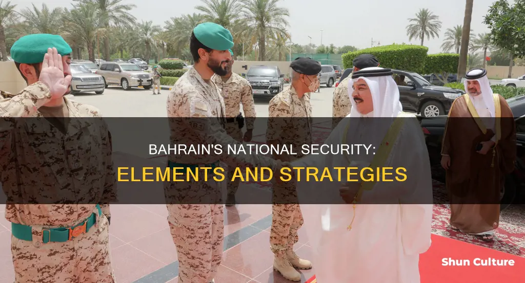 how does bahrain use the elements of national security