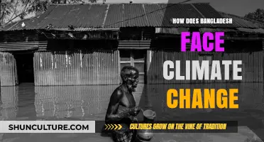 Bangladesh's Resilience: Battling Climate Change Impacts and Adaptation Strategies