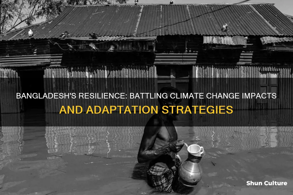 how does bangladesh face climate change