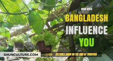 Bangladesh's Rich Culture, Resilience, and Warmth: A Personal Journey of Inspiration