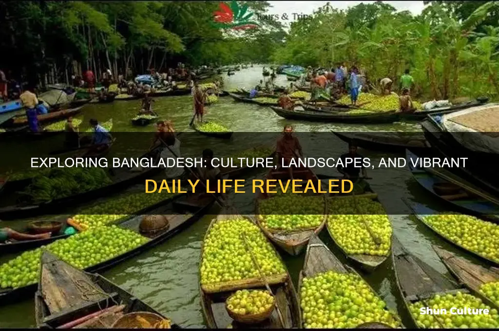 how does bangladesh look like