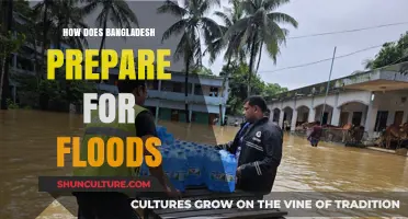 Bangladesh's Flood Resilience: Strategies and Community Preparedness for Monsoon Season