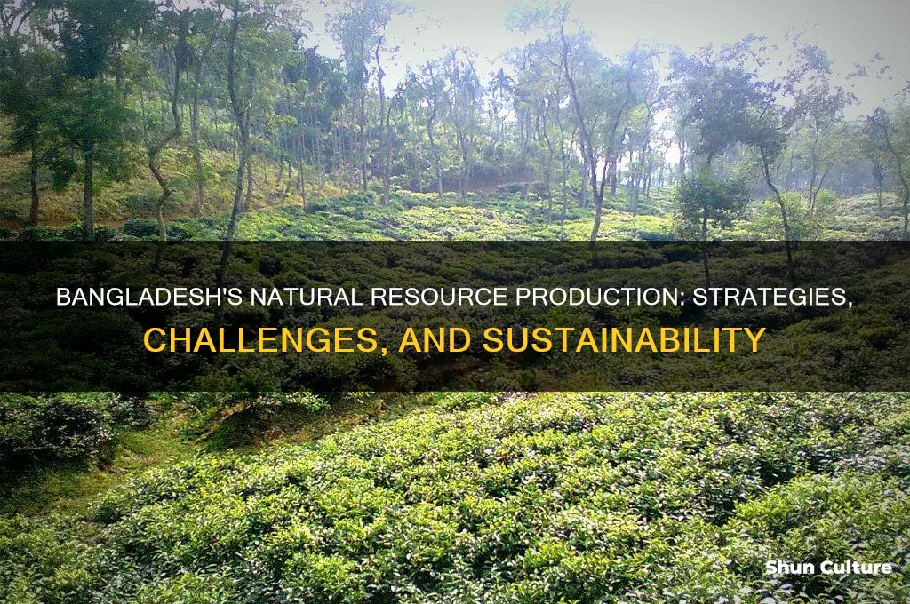 how does bangladesh produce natural resource