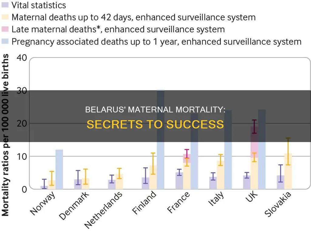 how does belarus have such low maternal mortality