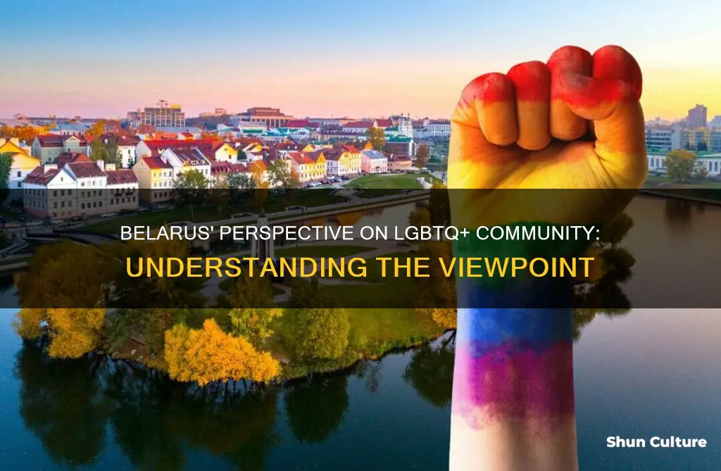 how does belarus view lgbt