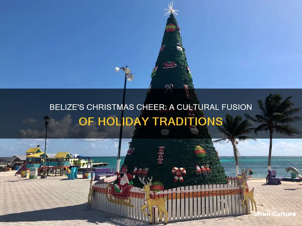 how does belize celebrate christmas