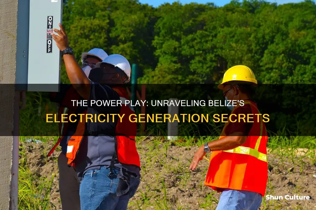 how does belize generate electricity