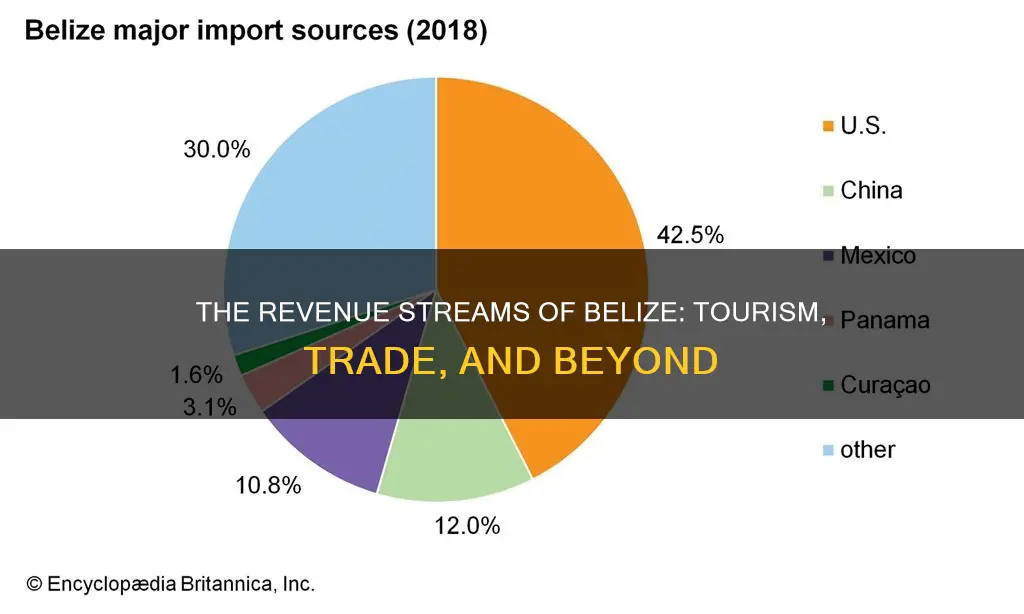 how does belize make money