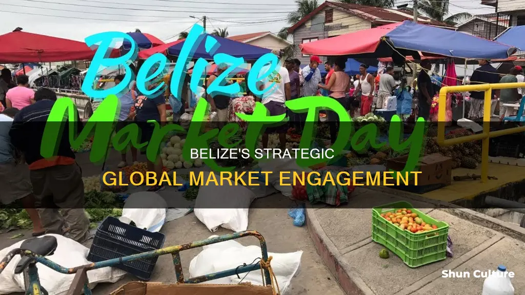 how does belize participate in the global market