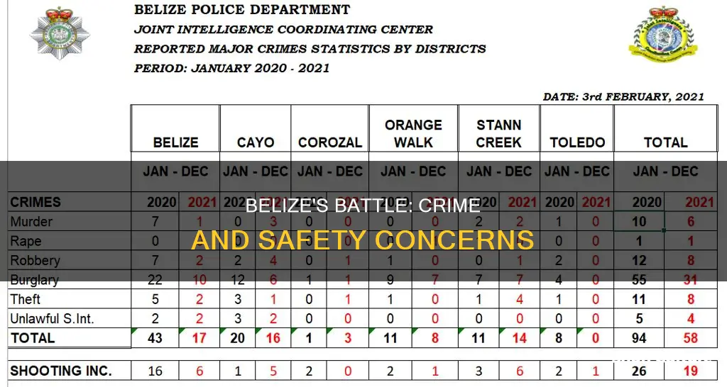 how does belize rank in crime