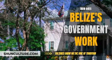 Belize's Government: A Look at the Inner Workings