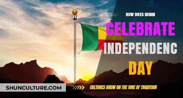 Benin's Independence Day: A Vibrant Celebration of Freedom and Culture