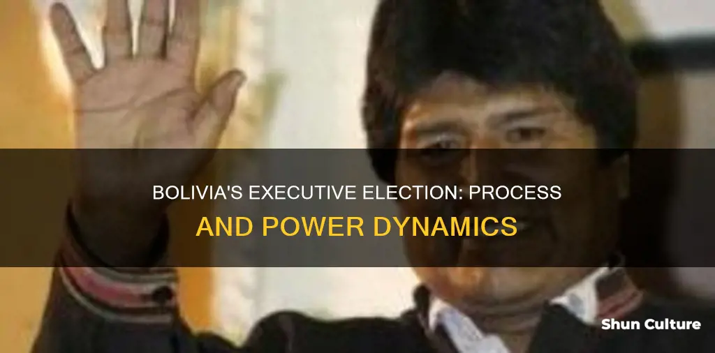 how does bolivia elect their executive