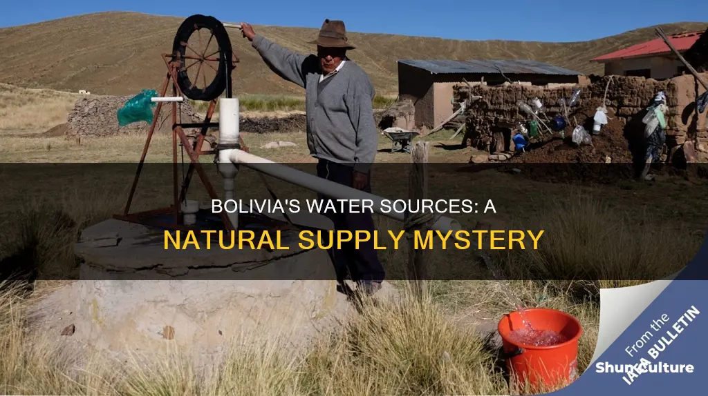 how does bolivia get water