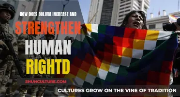 Bolivian Strategies: Empowering Human Rights and Its Citizens