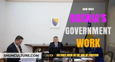 Understanding Bosnia's Complex Government Structure and Political System