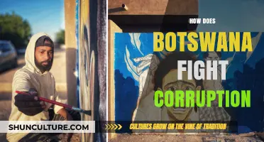 Botswana's Anti-Corruption Strategies: A Model for Transparency and Accountability