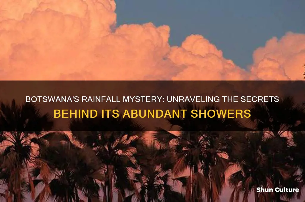 how does botswana get so much rain