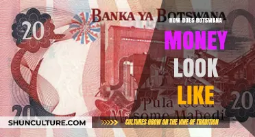 Exploring Botswana's Currency: A Visual Guide to Pula Notes and Coins