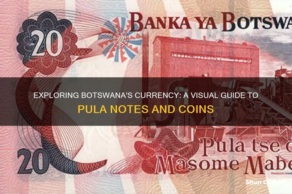how does botswana money look like