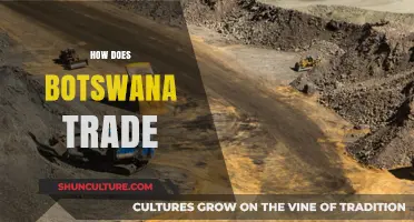 Botswana's Trade Strategies: Unlocking Economic Growth and Global Partnerships