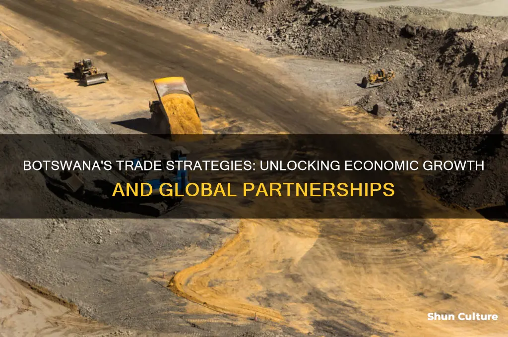 how does botswana trade