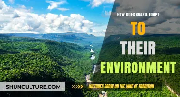 Brazil's Environmental Adaptation: Strategies for a Sustainable Future