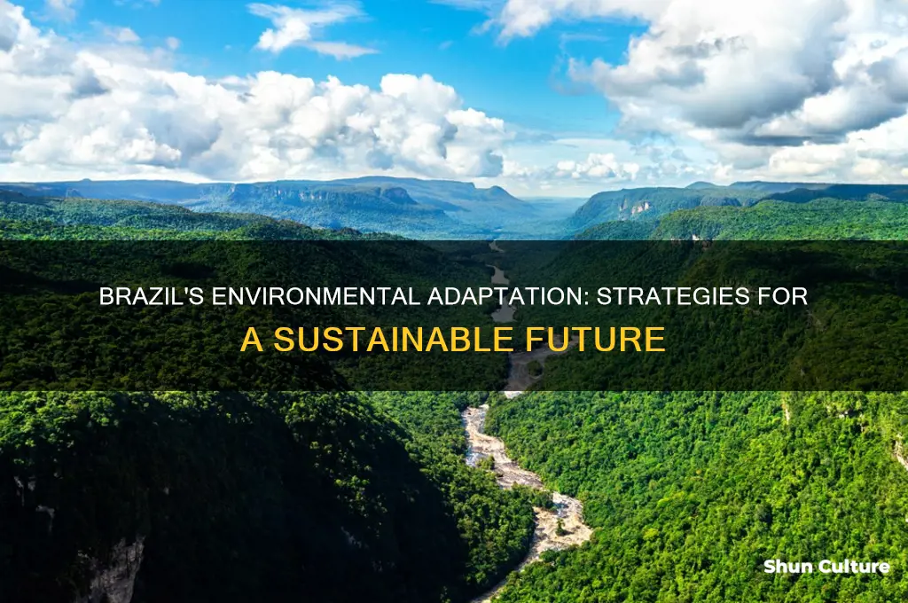 how does brazil adapt to their environment