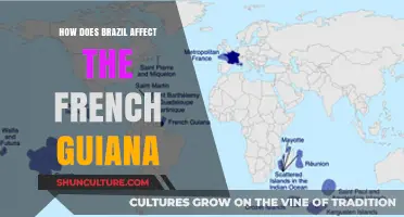 Brazil's Influence on French Guiana: Economic, Cultural, and Political Impacts