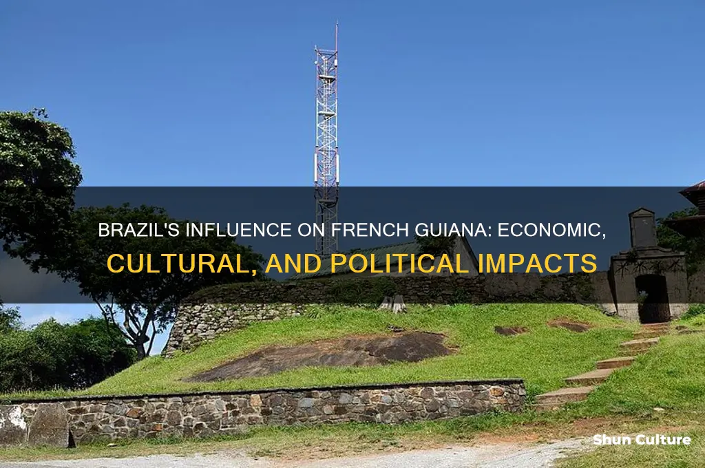 how does brazil affect the french guiana