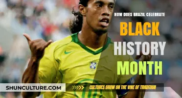 Brazil's Black History Month: Celebrating Afro-Brazilian Culture and Heritage