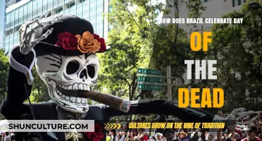 Brazil's Unique Day of the Dead Traditions: A Cultural Celebration