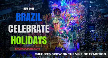 Brazil's Festive Spirit: Unique Holiday Celebrations and Traditions Explored