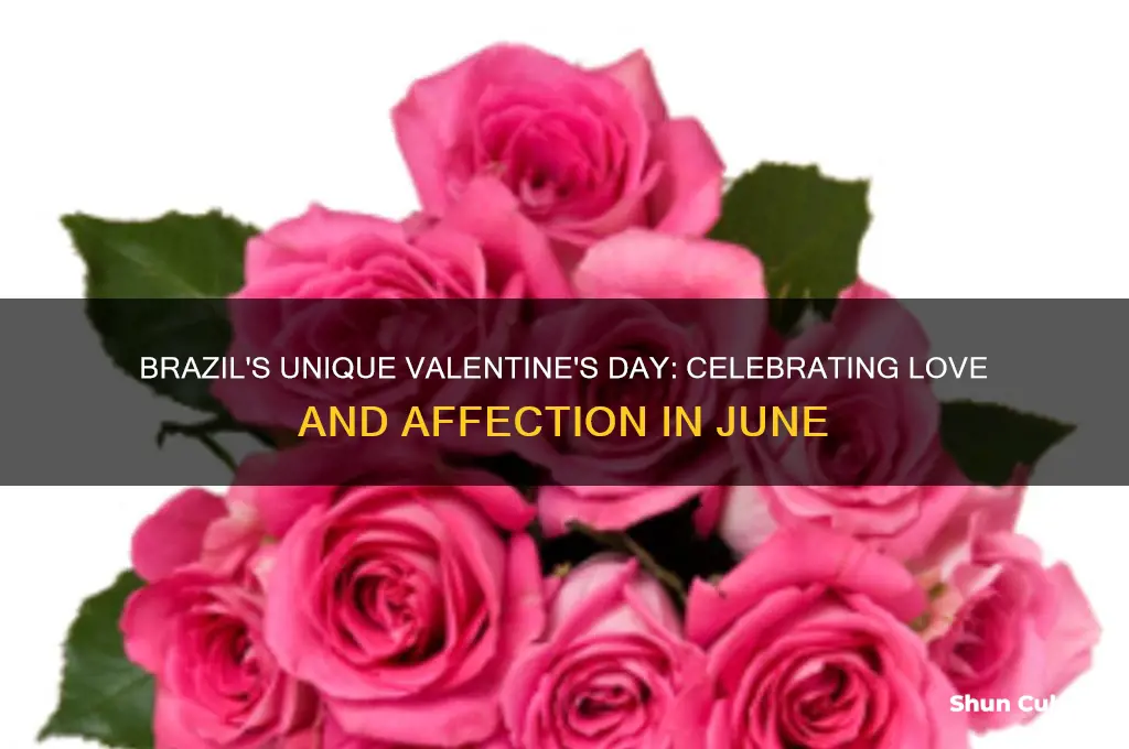 how does brazil celebrate valentine