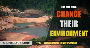 Brazil's Environmental Transformation: Challenges, Innovations, and Sustainable Solutions
