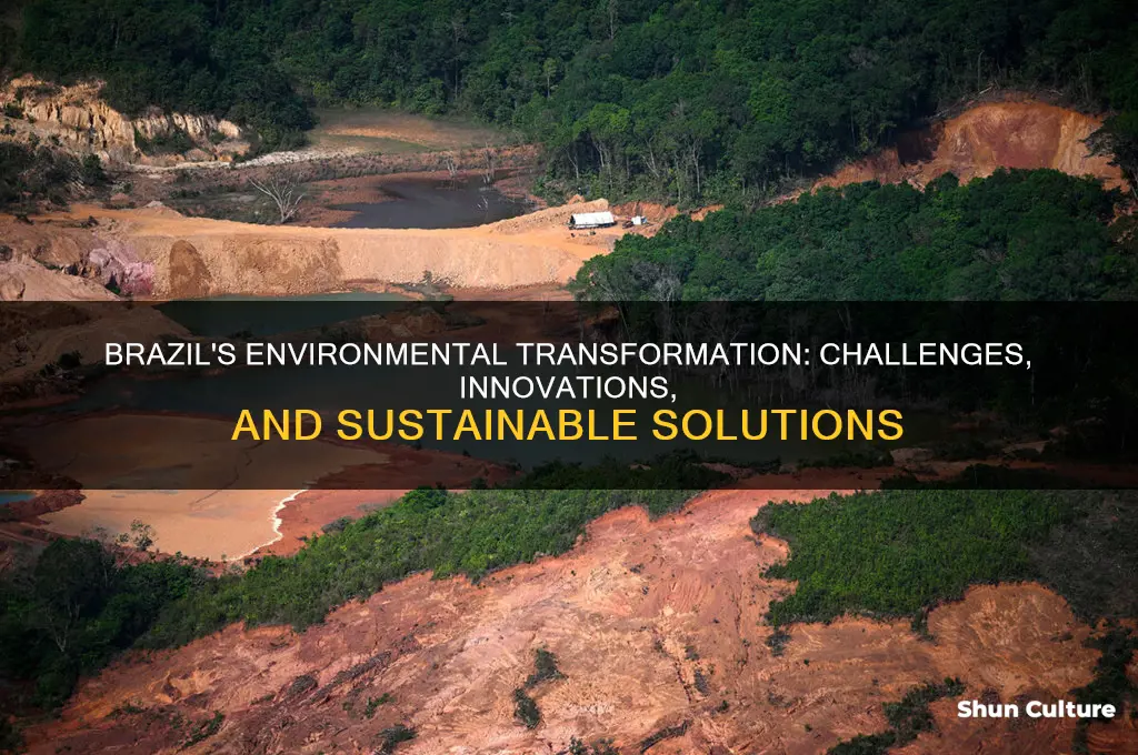 how does brazil change their environment