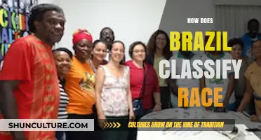 Understanding Brazil's Unique Racial Classification System and Its Impact