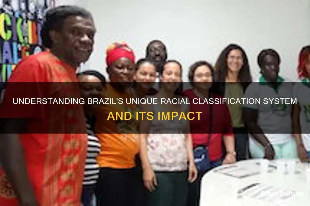 how does brazil classify race