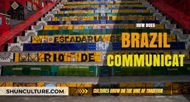 Exploring Brazil's Communication: Language, Culture, and Digital Trends Unveiled