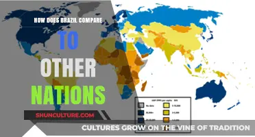 Brazil's Global Standing: A Comparative Analysis of Key Metrics