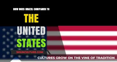 Brazil vs. USA: Culture, Economy, and Lifestyle Compared