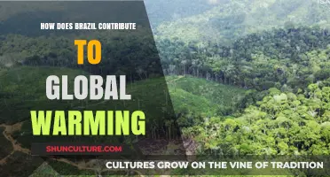 Brazil's Role in Climate Change: Impacts and Global Warming Contributions