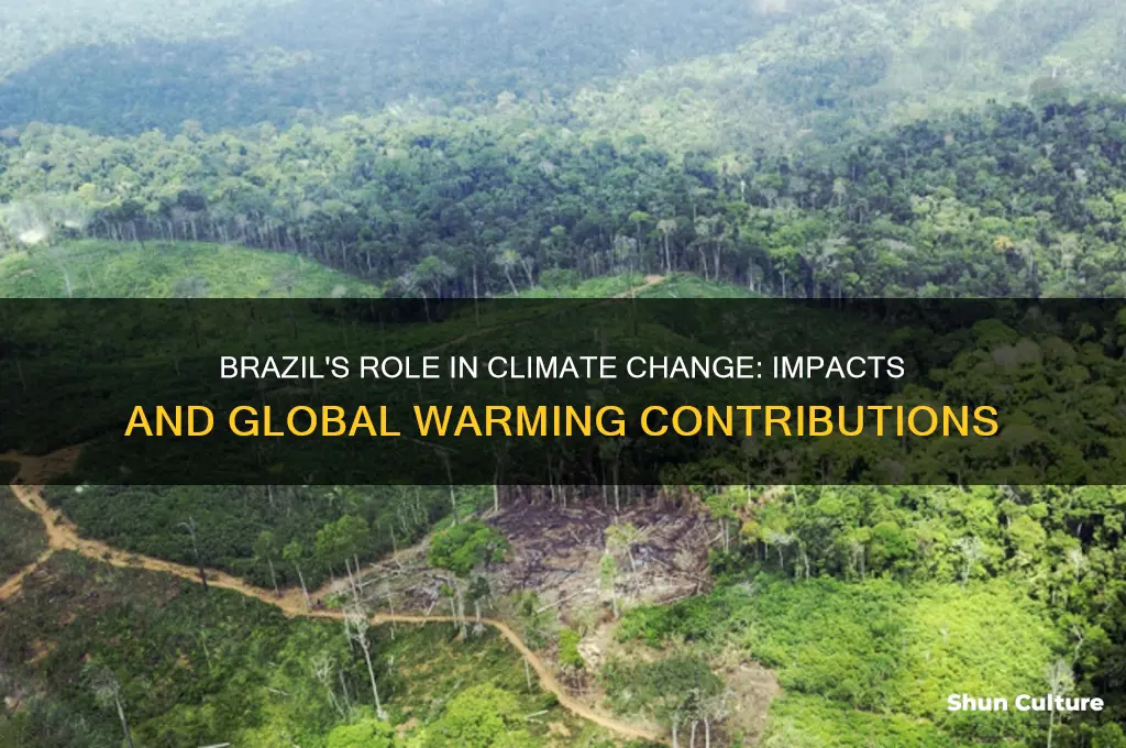 how does brazil contribute to global warming