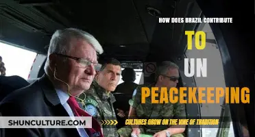 Brazil's Role in UN Peacekeeping: Contributions, Impact, and Global Leadership