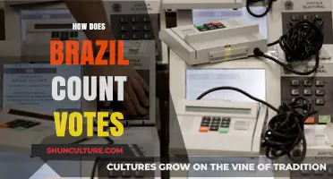 Brazil's Electronic Voting System: A Transparent and Efficient Vote Counting Process